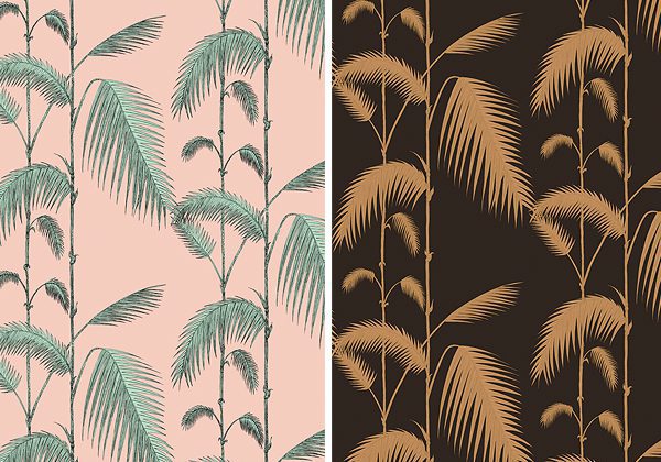 Tropical Wallpaper, Palm Leaves